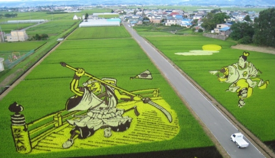 The art of Tambo — incredible pictures in the rice fields of Japan