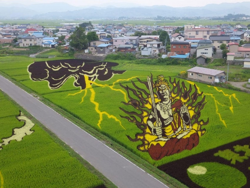 The art of Tambo — incredible pictures in the rice fields of Japan The art of Tambo — incredible pictures in the rice fields of Japan