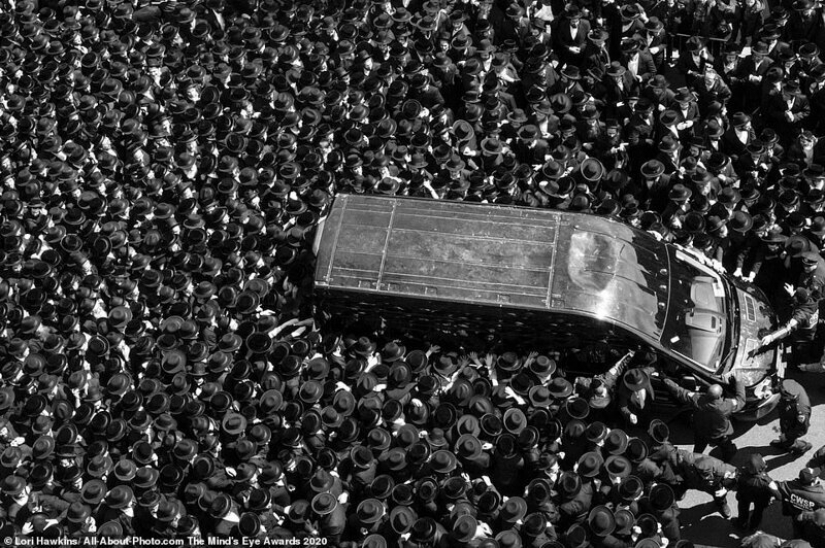 The best works from the contest Photo Award AllAbout 2020 The best works from the contest Photo Award AllAbout 2020