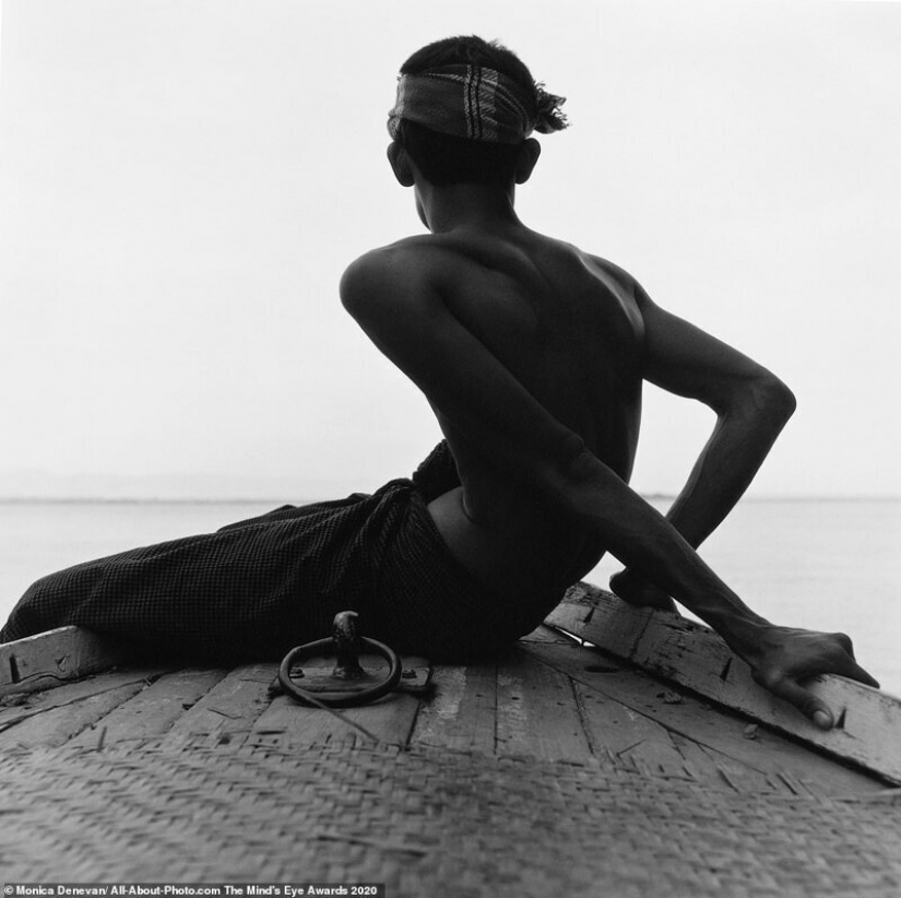 The best works from the contest Photo Award AllAbout 2020 The best works from the contest Photo Award AllAbout 2020