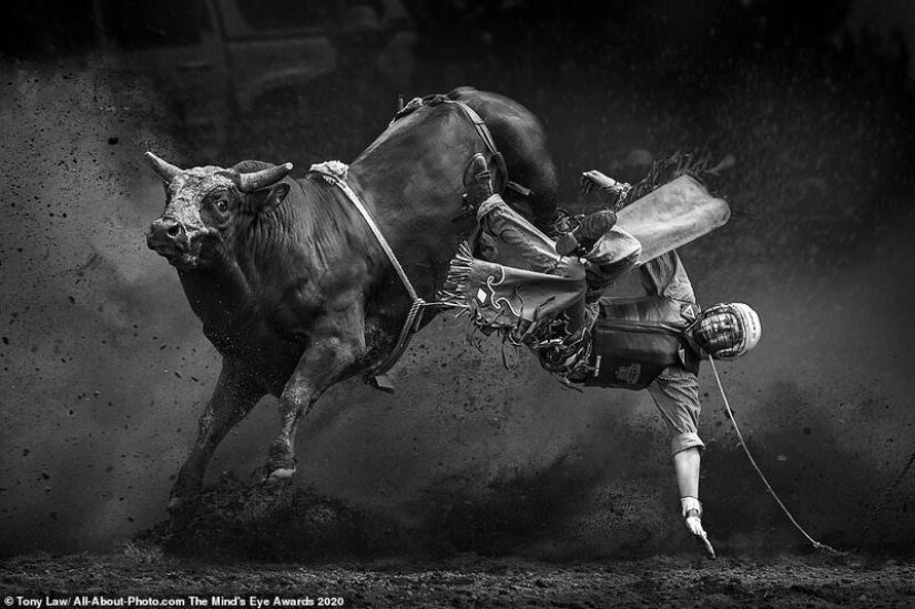 The best works from the contest Photo Award AllAbout 2020 The best works from the contest Photo Award AllAbout 2020