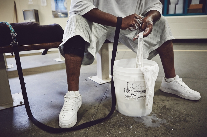 "The dog loves you even in prison": how to help each other inmates and homeless dogs "The dog loves you even in prison": how to help each other inmates and homeless dogs