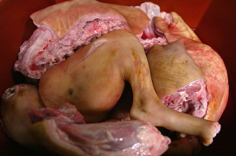 The dogs in Korean cuisine The dogs in Korean cuisine