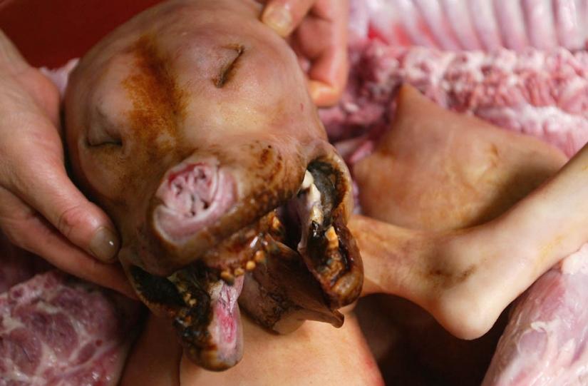 The dogs in Korean cuisine The dogs in Korean cuisine