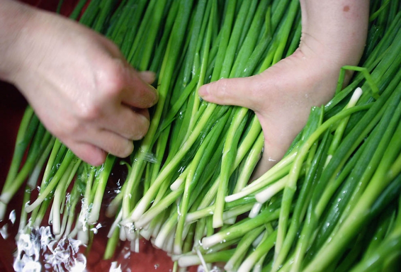 The dogs in Korean cuisine The dogs in Korean cuisine