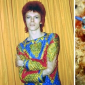The great David Bowie and his counterparts, sea slugs
