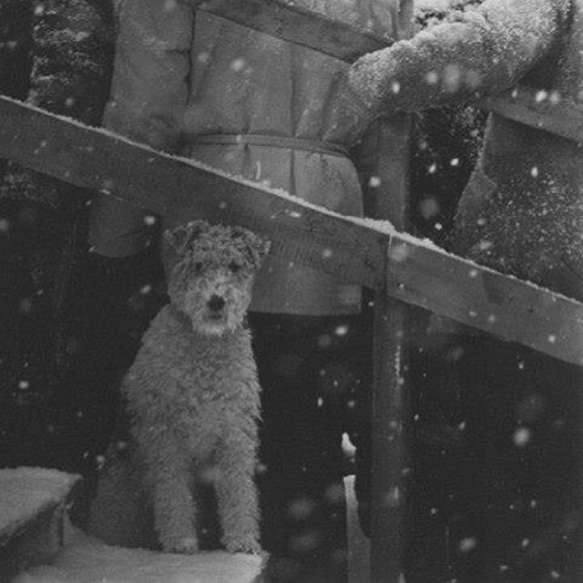 The guy from Riga breathes life into an old Soviet photo, forcing them to move The guy from Riga breathes life into an old Soviet photo, forcing them to move
