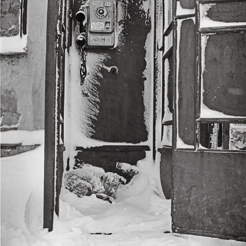 The guy from Riga breathes life into an old Soviet photo, forcing them to move The guy from Riga breathes life into an old Soviet photo, forcing them to move