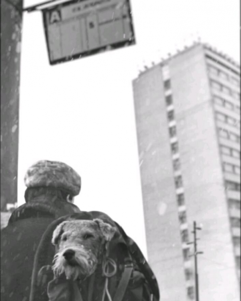 The guy from Riga breathes life into an old Soviet photo, forcing them to move The guy from Riga breathes life into an old Soviet photo, forcing them to move