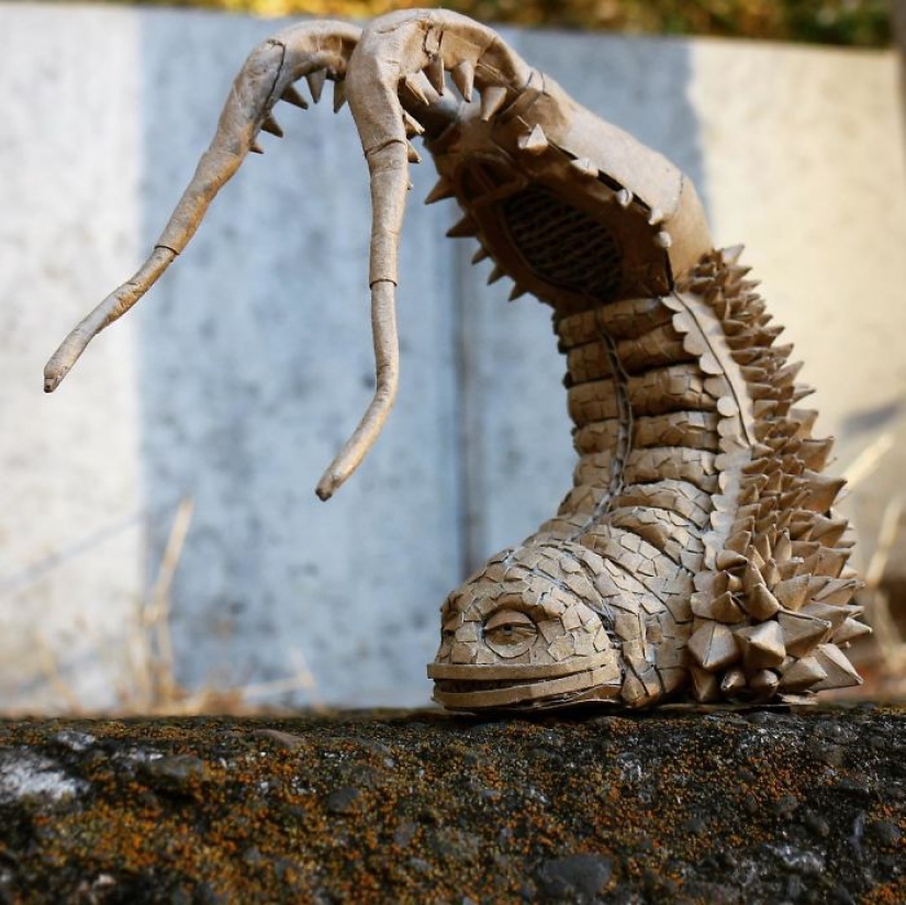 The Japanese never throws away cardboard boxes: she finds a use for them better