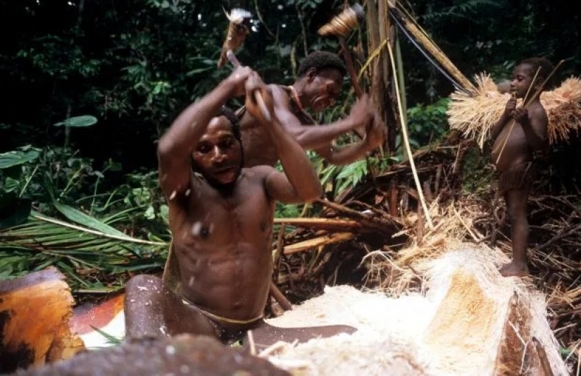 The last cannibals: the tribes in which eat human flesh and carried out the blood rituals