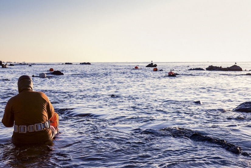 The latest generation of the Korean mermaids The latest generation of the Korean mermaids