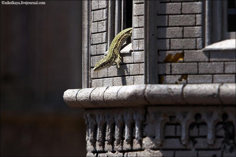 The miniature Park in Barcelona