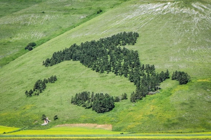The monuments, which produce oxygen The monuments, which produce oxygen