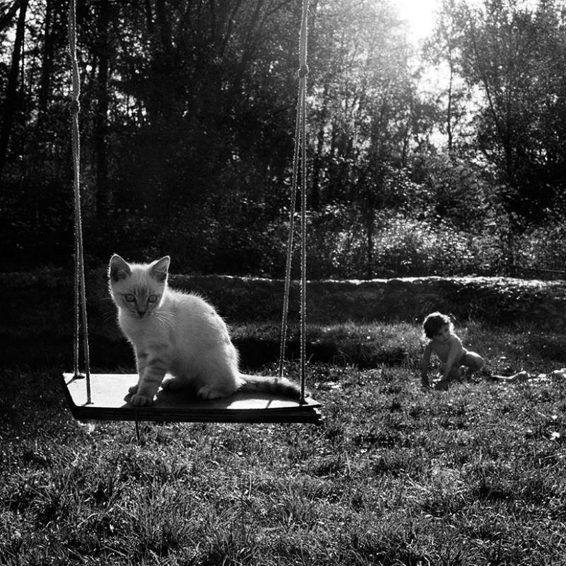 The most beautiful family album