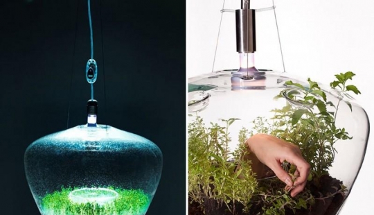 The most creative lamps and fixtures