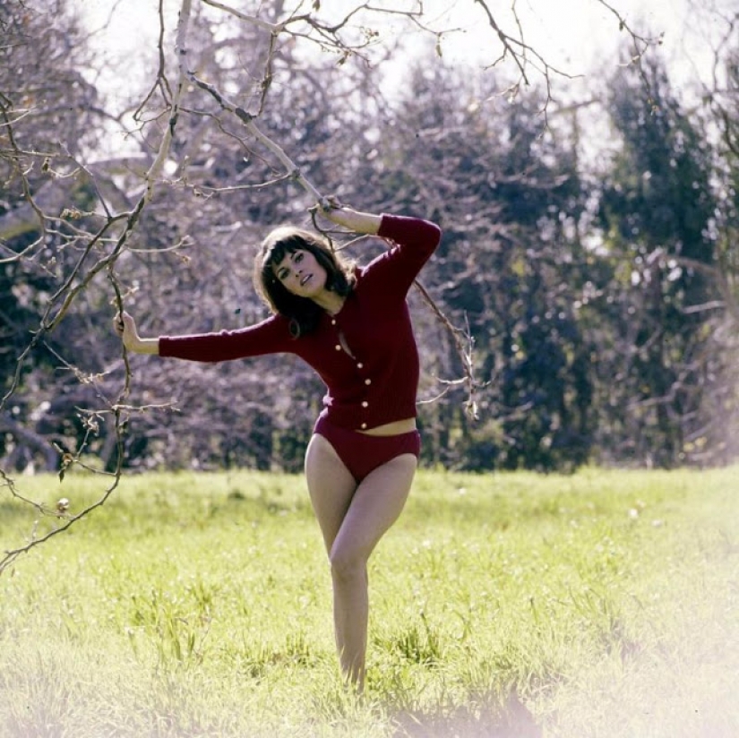 "The most desired woman of the 1970s" Raquel Welch: actress, famous for bikini