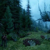 The most famous trees in the world, famous in cinema, music and painting