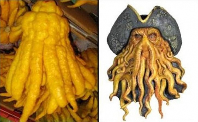 The most scary plants in the world that grow, may your house The most scary plants in the world that grow, may your house