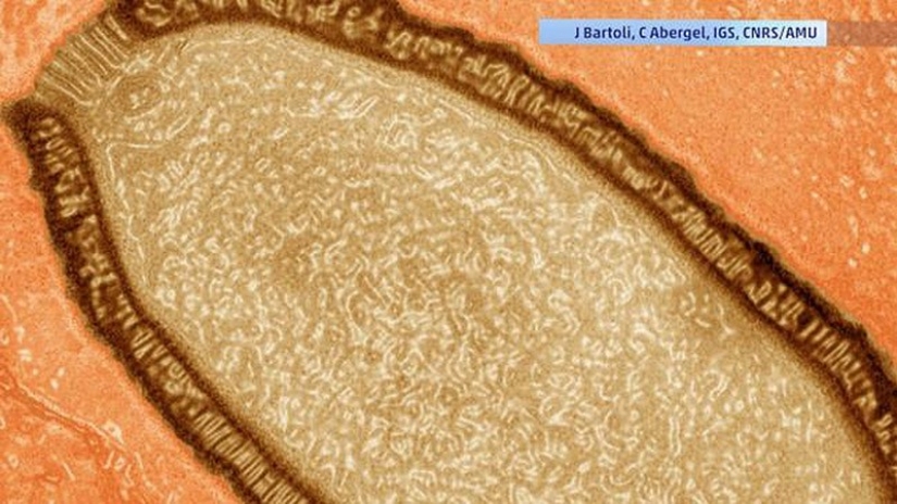 The most sensational finds ever discovered in glaciers