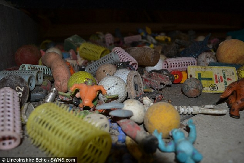 The most unexpected things that accidentally and not entirely flushed down the toilet The most unexpected things that accidentally and not entirely flushed down the toilet