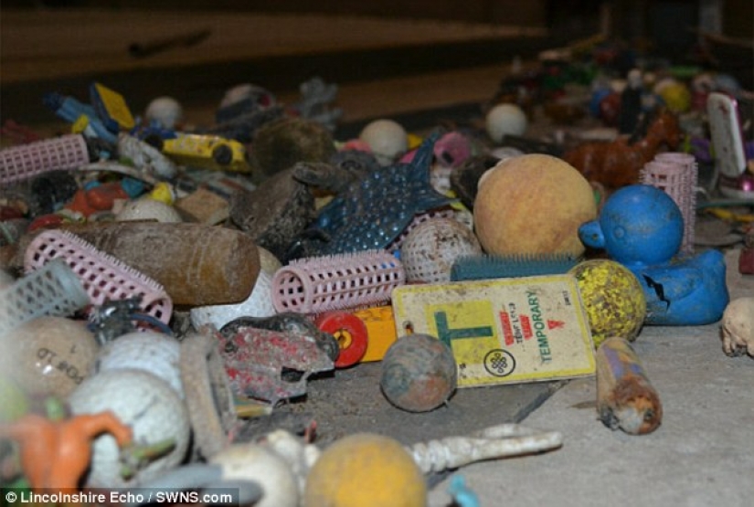 The most unexpected things that accidentally and not entirely flushed down the toilet The most unexpected things that accidentally and not entirely flushed down the toilet