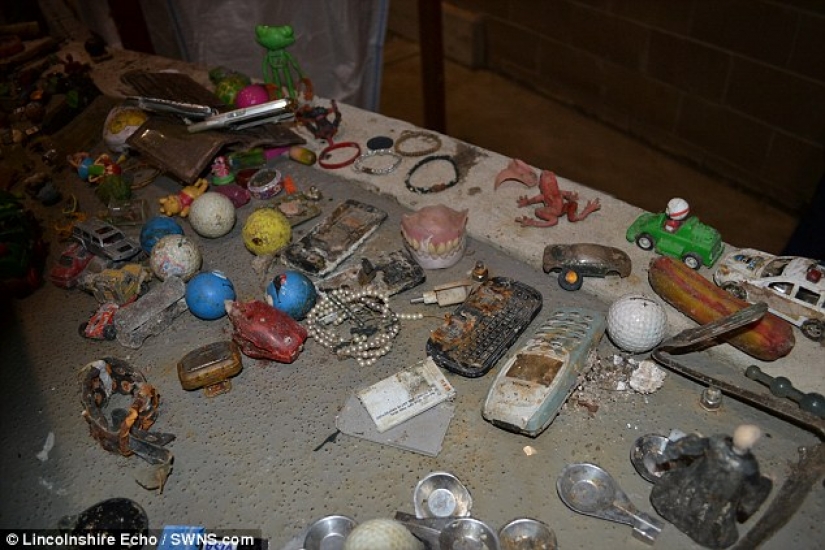 The most unexpected things that accidentally and not entirely flushed down the toilet The most unexpected things that accidentally and not entirely flushed down the toilet