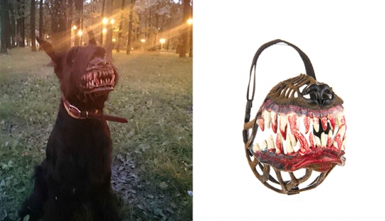 The muzzle, which will make the best dog into a bloodthirsty monster The muzzle, which will make the best dog into a bloodthirsty monster