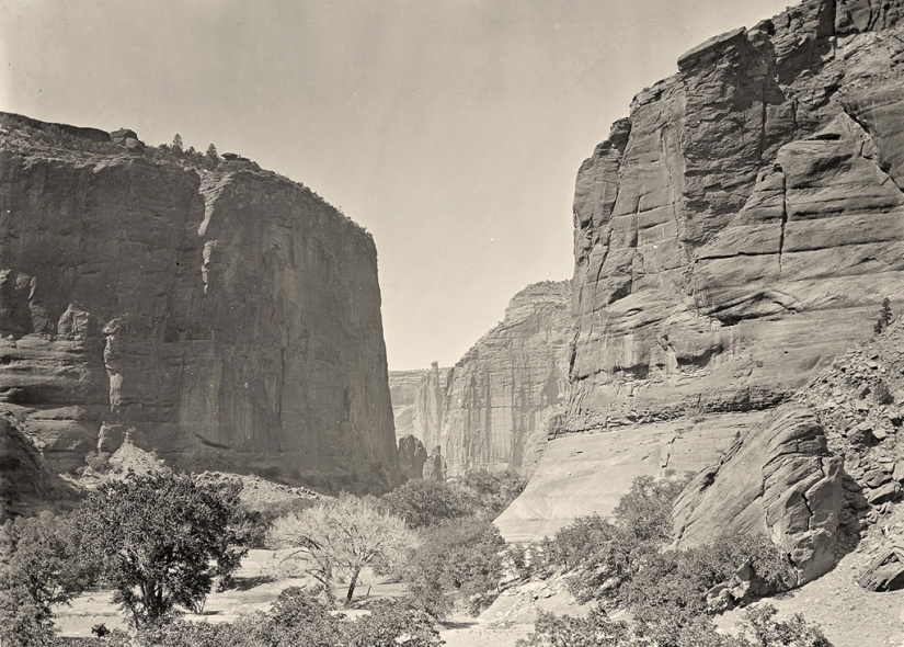 The nature of the Wild West 150 years ago