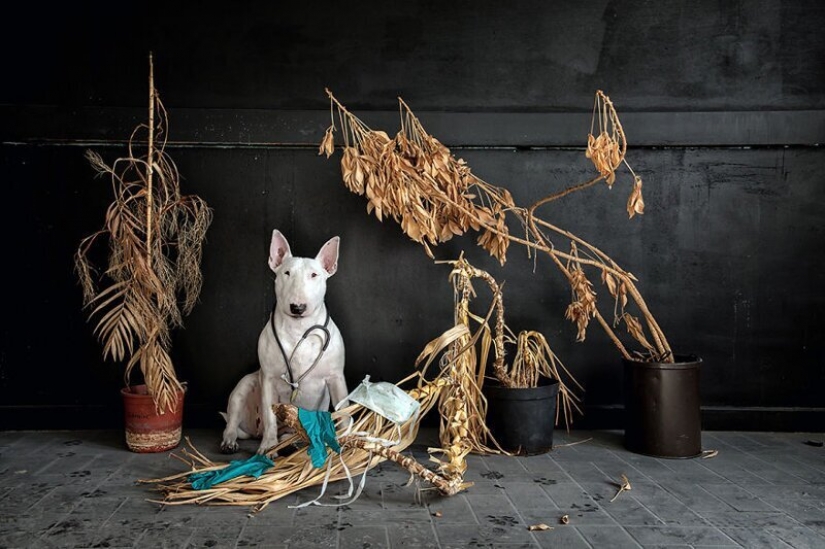 The photographer and her pit bull talk about the rules of life in the coronavirus