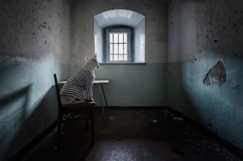 The photographer and her pit bull talk about the rules of life in the coronavirus