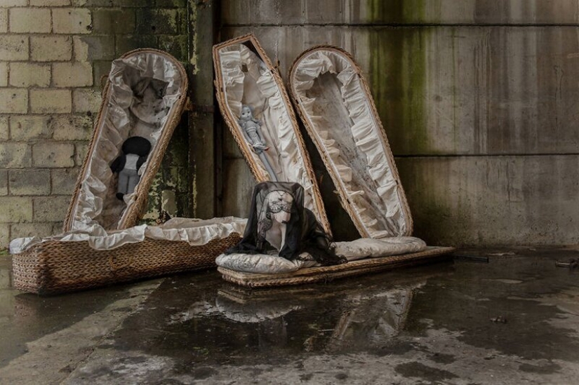 The photographer and her pit bull talk about the rules of life in the coronavirus