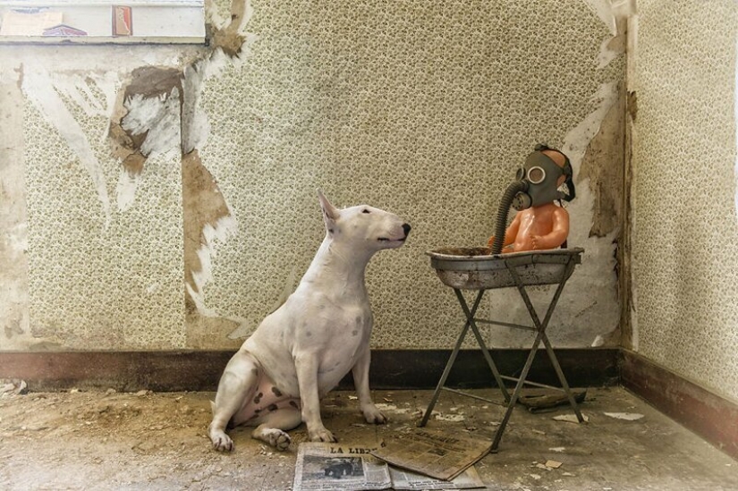 The photographer and her pit bull talk about the rules of life in the coronavirus
