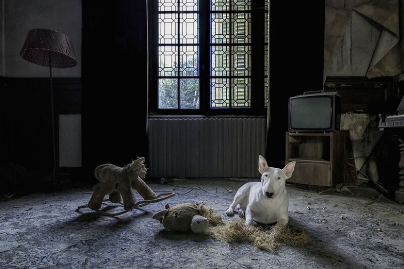 The photographer and her pit bull talk about the rules of life in the coronavirus