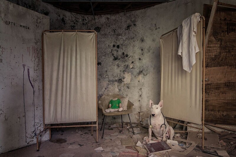 The photographer and her pit bull talk about the rules of life in the coronavirus