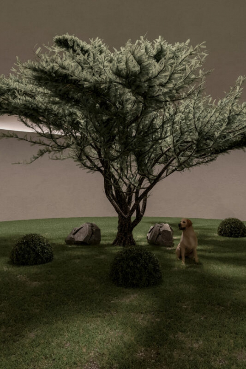 The project design of the hopper from the Studio Sergey Makhno Architects