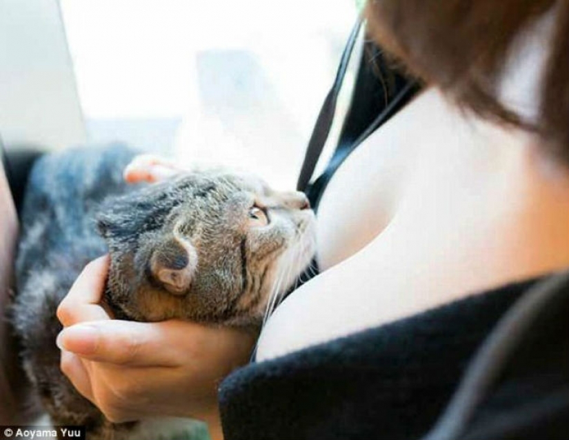 The seals and the breast: the soothing album by Japanese photographer