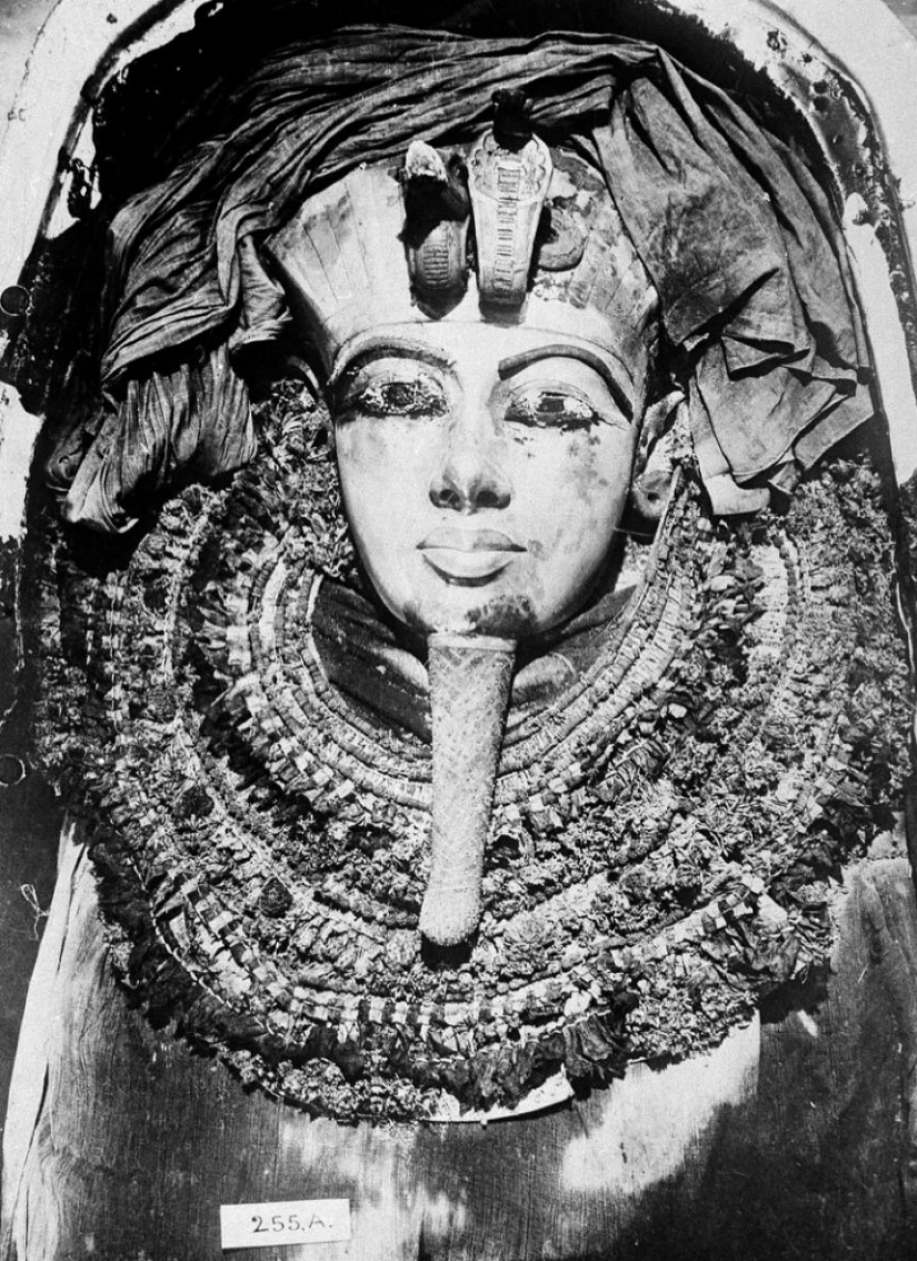 The secrets of Pharaoh