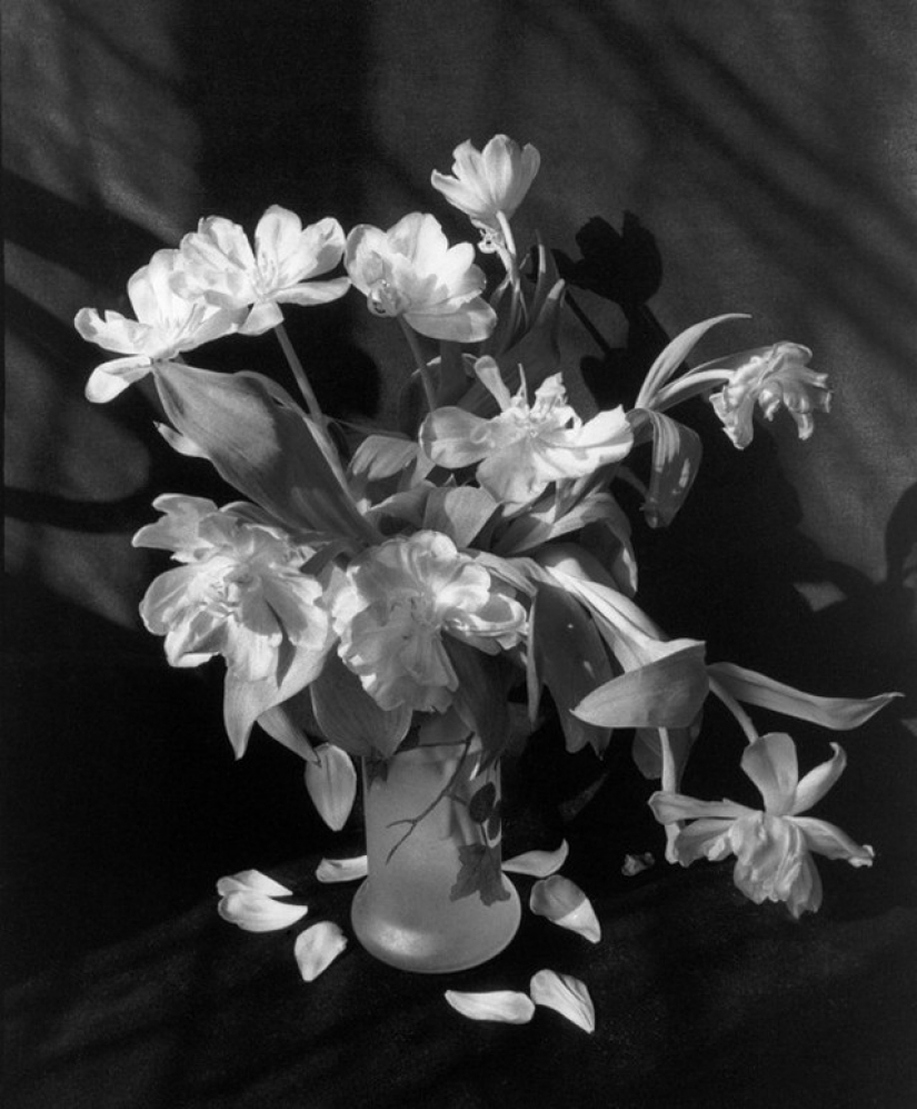 The secrets of the great masters of photography: poetry frames Edward Buba