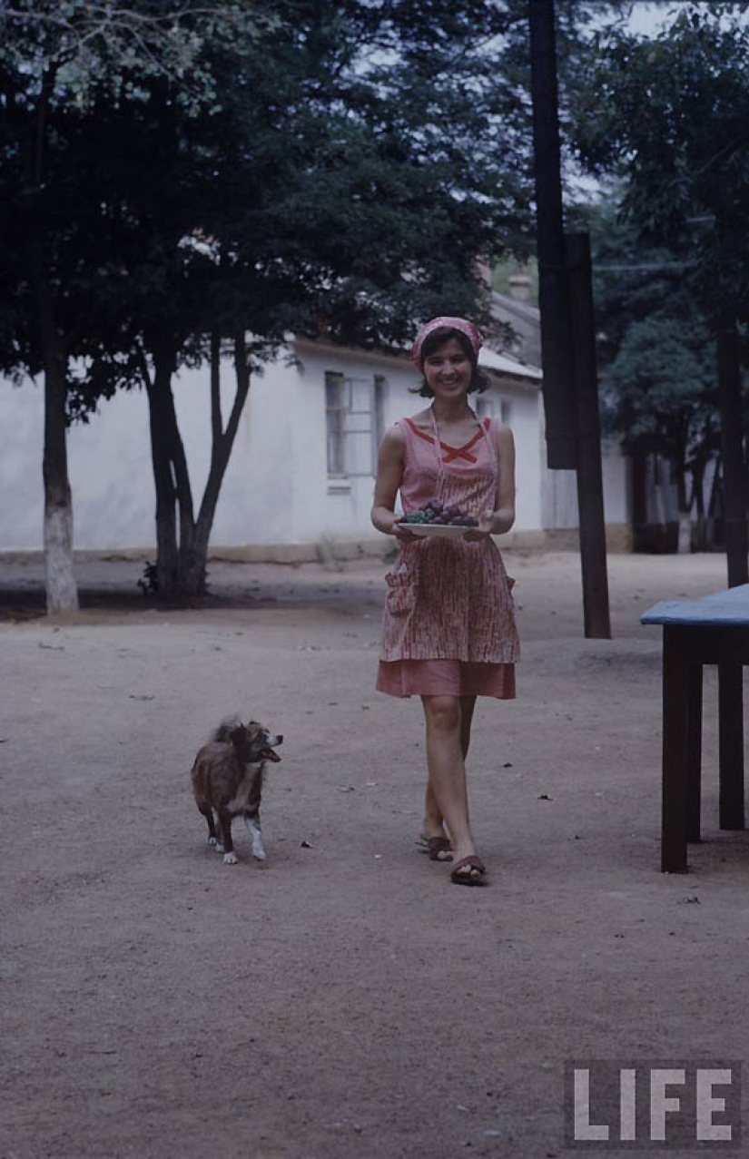 The Soviet youth of the 60's through the eyes of American photographer The Soviet youth of the 60's through the eyes of American photographer