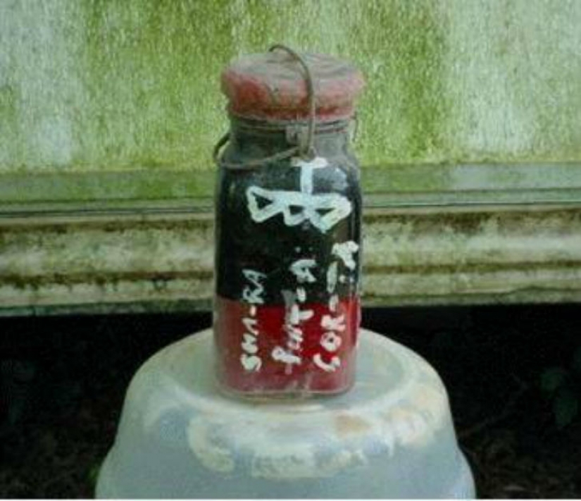 The strangest things ever sold on eBay The strangest things ever sold on eBay