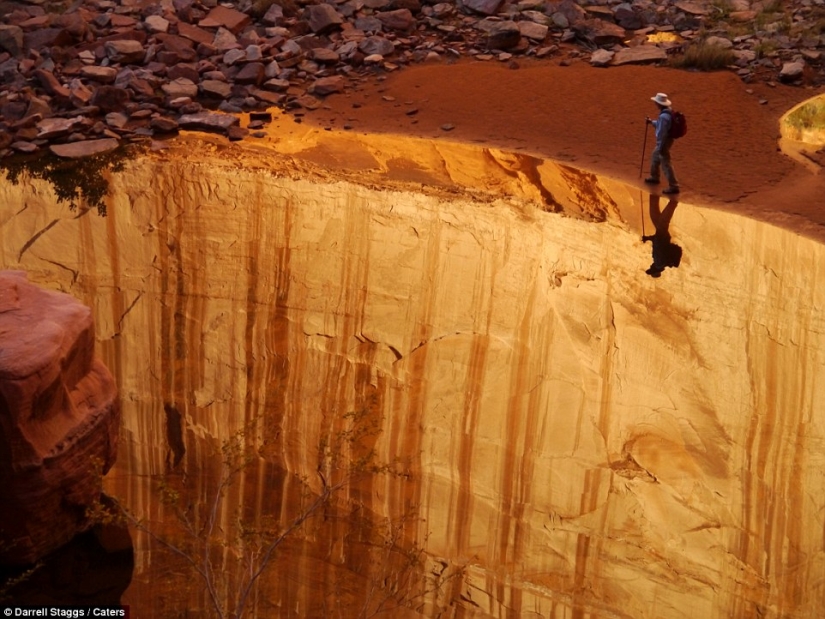 The surprises of nature: to these unrealistic photos you want to look twice