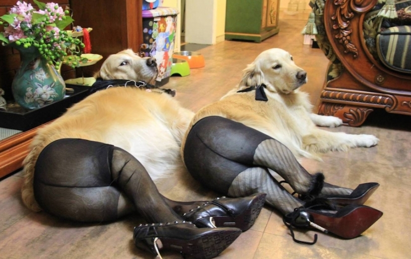 The whole truth about life in China first hand