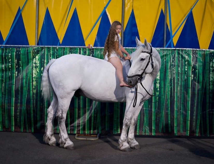The world Amelia — a girl and her animals