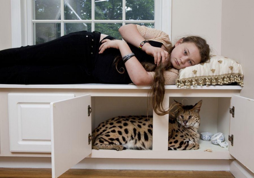 The world Amelia — a girl and her animals