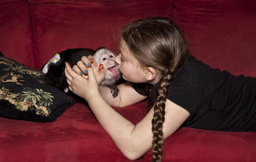 The world Amelia — a girl and her animals