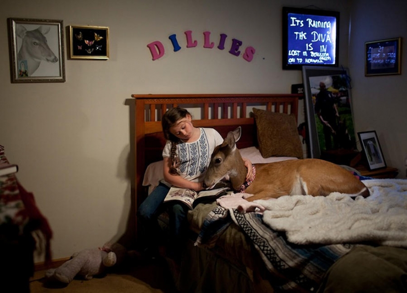 The world Amelia — a girl and her animals