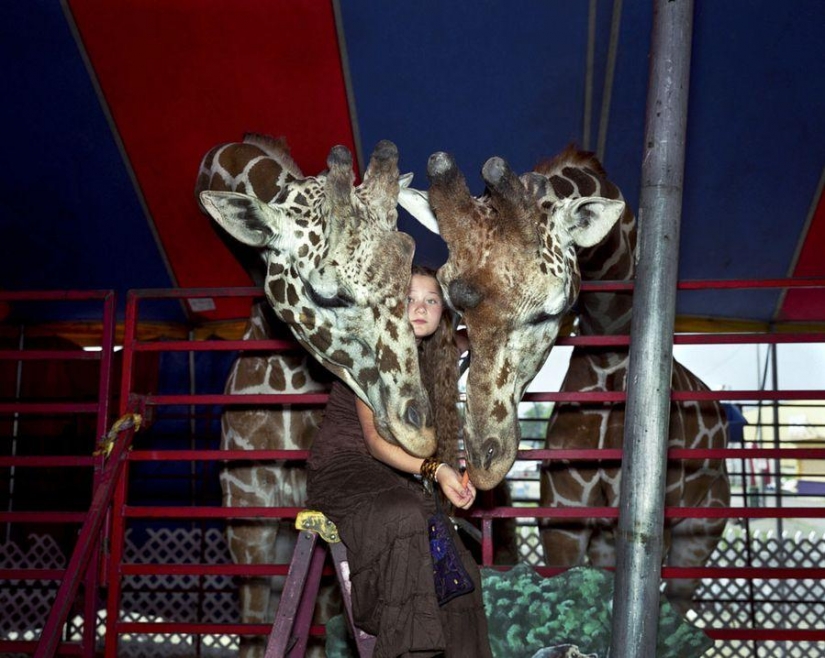 The world Amelia — a girl and her animals