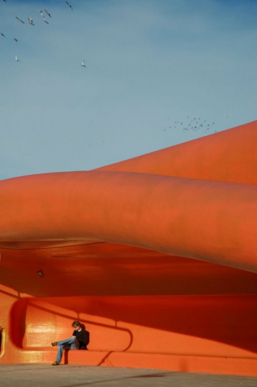 The world's coolest bus stop, where you will want to wait for the bus forever