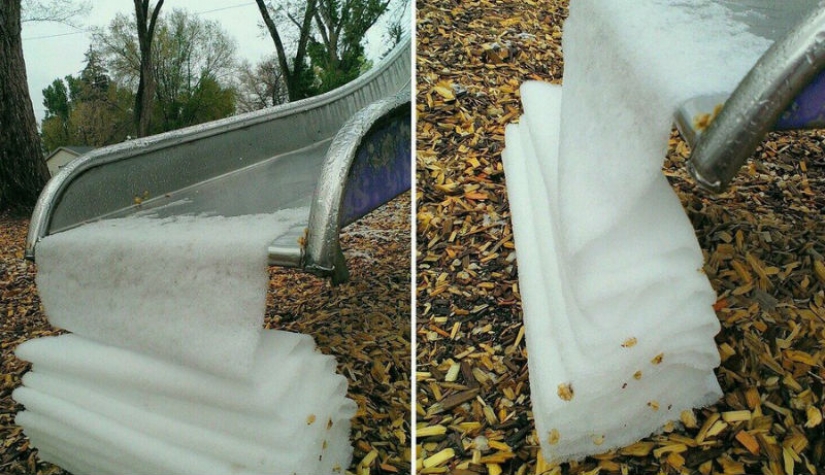 There is perfection in the world: 20 photographic delights for the eyes of the perfectionist